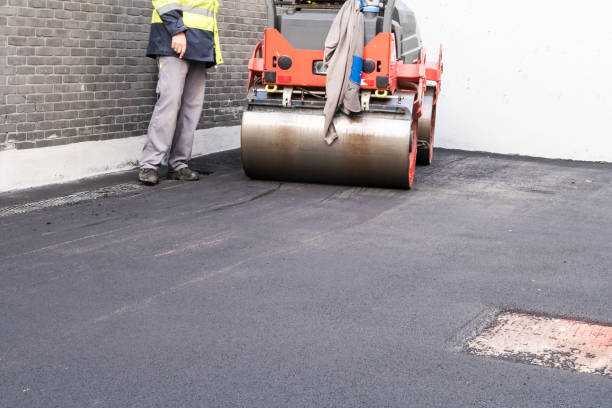 Best Driveway Crack Filling  in Shelbyvle, IL